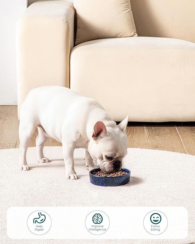 vancasso Slow Feeder Dog Bowl, 0.6 Cup Ceramic Slow Feeding Food Dish for Small Breed, Puzzle Dog Food Bowl for Fast Eater, Blue