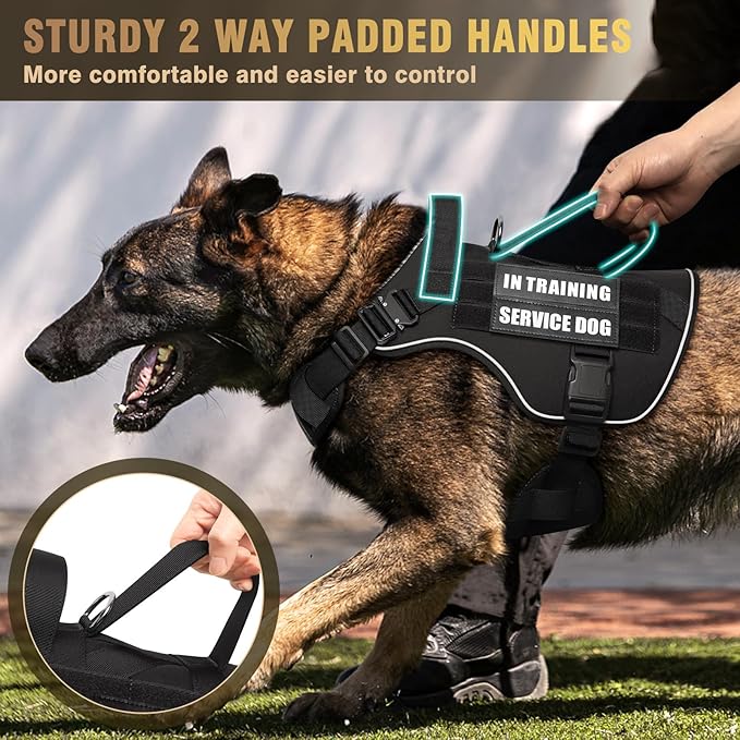 WINSEE Tactical Dog Harness for Medium Dog, Heavy Duty Service Working MOLLE Vest with 10 Pet Patches, 2X Metal Buckle Vest for Training Hunting Walking