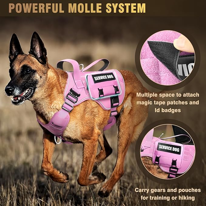WINSEE Tactical Dog Harness for Large Dog, Heavy Duty Service Dog MOLLE Vest with 10 Pet Patches, No Pull Military Working Vest for Training Hunting Walking