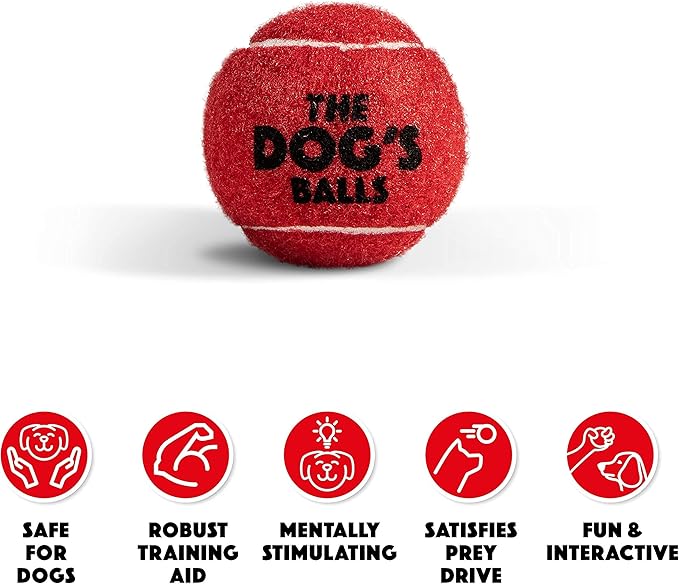 The Dog's Balls 6-Pack Red Dog Toy, Non-Toxic Pet Tennis Balls for Training, Play, Exercise & Fetch, Robust Retrieval Toys for All Breed Sizes