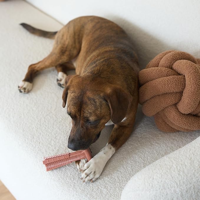 SPOT Bam-Bones Plus T Bone – Bamboo Fiber & Nylon Dog Chew Toy for Moderate to Aggressive Chewers, Durable Long Lasting & Non-Splintering, Beef Flavor Toy for Adult Dogs & Puppies Under 60 lbs, 6 in