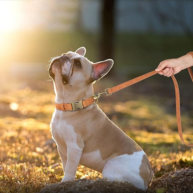 Didog Soft PU Leather Dog Collar, Stylish Quick Released Dog Collars for Medium Dogs, Easy Clean Adjustable Pet Collar for Daily Walking, Light Brown, M Fit 13-21" Neck