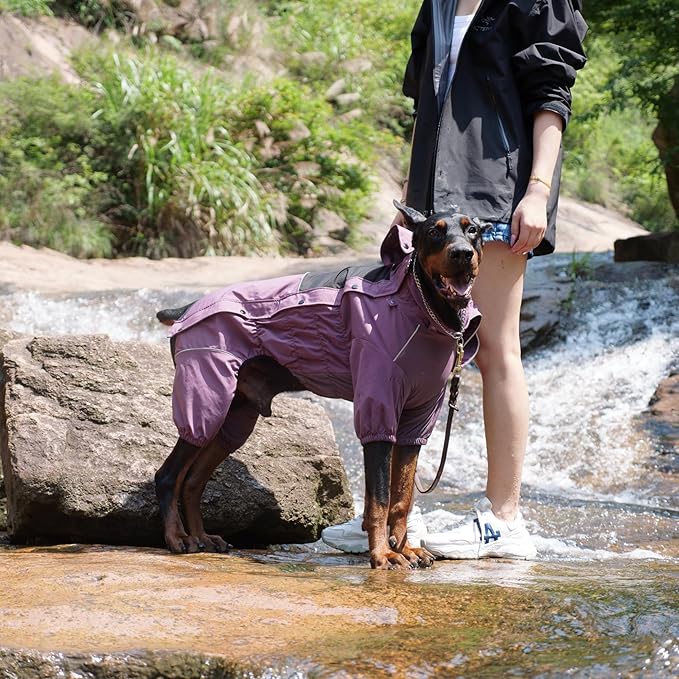 LOVELONGLONG Waterproof Dog Raincoat with Removable Hood – Outdoor Full Body Dog Jacket, Windproof Snowproof Shell Suit – All Season Pet Rain Gear Plum Purple XXS
