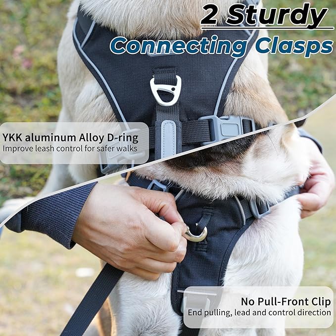 Escape Proof Dog Harness and Leash Set, Lightweight Dog Harness with Lift and Assist Handle, No Pull Reflective Pet Vest for Small Medium Dogs, Ideal for Puppy Walking and Training (Black,XS)