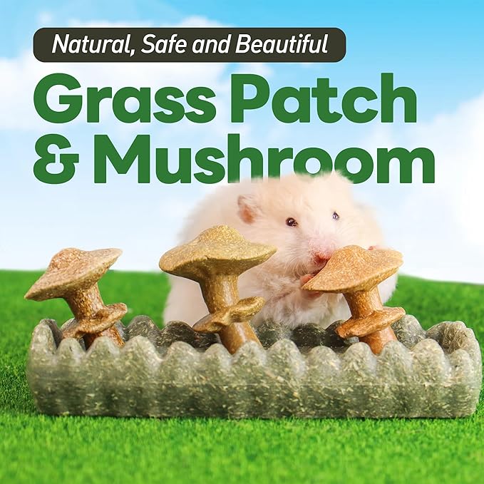 TEEWY Guinea Pig Chew Toys, Prevent Teeth Overgrowth, Natural Timothy Grass & Vegetables, Hamster Chew Toys, Guinea Pig Toys, Chinchilla Toys, 4PCS, Grass Patch & Mushrooms
