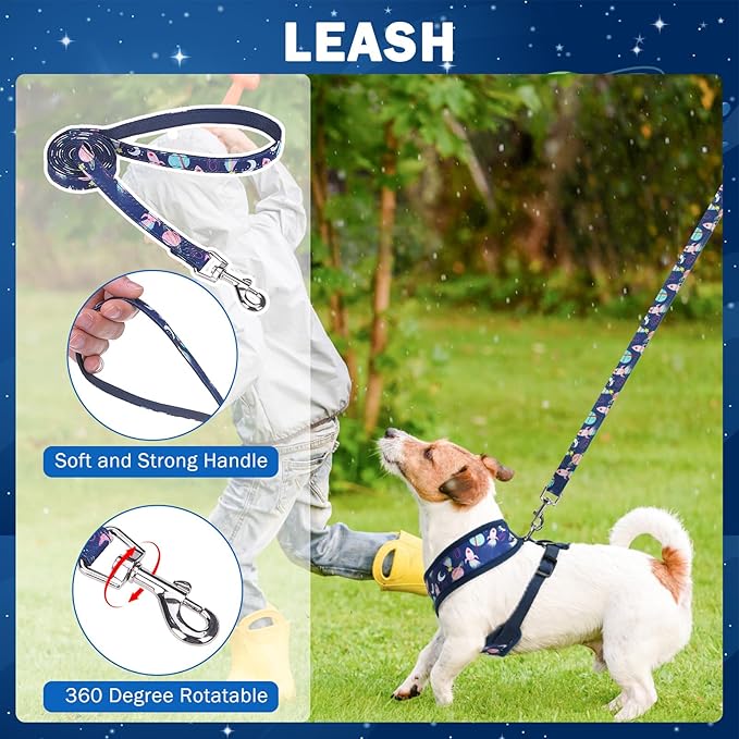 SCENEREAL Small Dog Harness Collar and Leash Set, Adjustable No Pull Pet Harnesses, No Chock Soft Mesh Step in Vest for Doggie Puppy Medium Dogs Cats Girl or Boy,Chihuahua, Yorkie, Outdoor Walking
