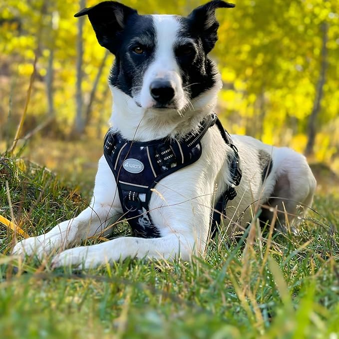 AUROTH Tactical Dog Harness for Small Medium Large Dogs No Pull Adjustable Pet Harness Reflective K9 Working Training Easy Control Pet Vest Military Service Dog Harnesses (L, Black Ink)