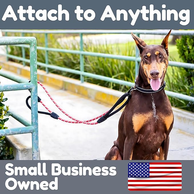 6 Foot Dog Leash, Two Extra Padded Handles, Locking Carabiner Clip, Reflective for Night Visibility, Weatherproof, Heavy Duty Rope Leash, Roam Gear (Pink)