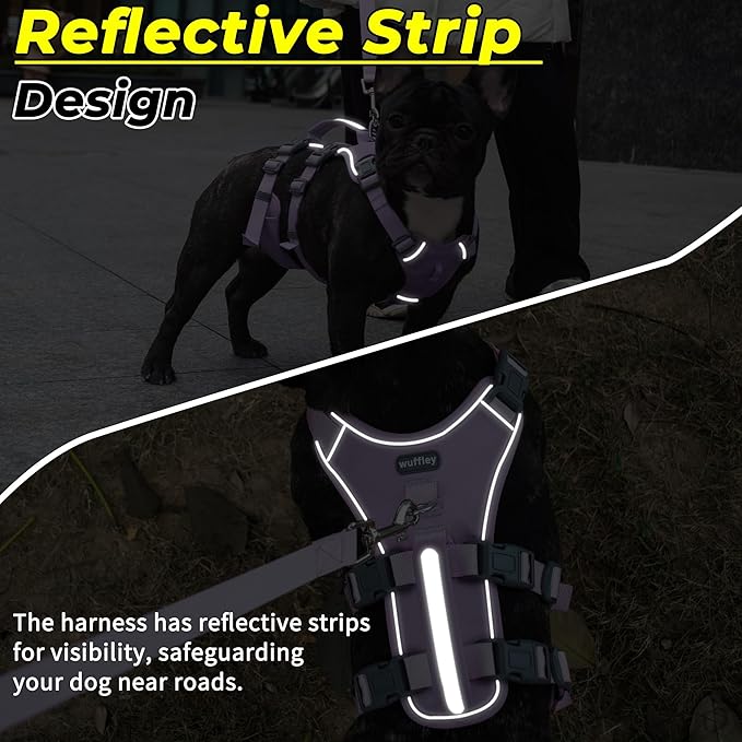 Escape Proof Dog Harness and Leash Set, Lightweight Dog Harness with Lift and Assist Handle, No Pull Reflective Pet Vest for Small Medium Dogs, Ideal for Puppy Walking and Training (Purple, S)
