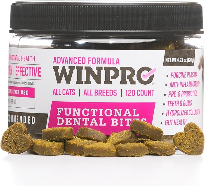 WINPRO Functional Dental Bites for Cats, Plasma-Powered Formula for Supporting Healthy Teeth and Gums, Probiotic Blend, Catnip Flavor, All Cat Breeds, 120 Count