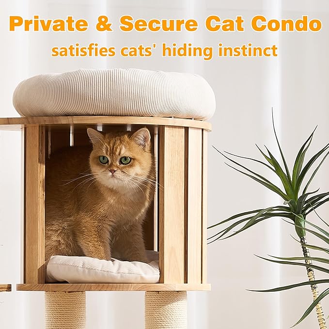 Cat Tree Modern Cat Tower for Large Cat with Scratching Post for Indoor, Solid Wood Multifunctional Cat Tower with Condo, Bed, Ladder, Space Capsule, Dangling Ball