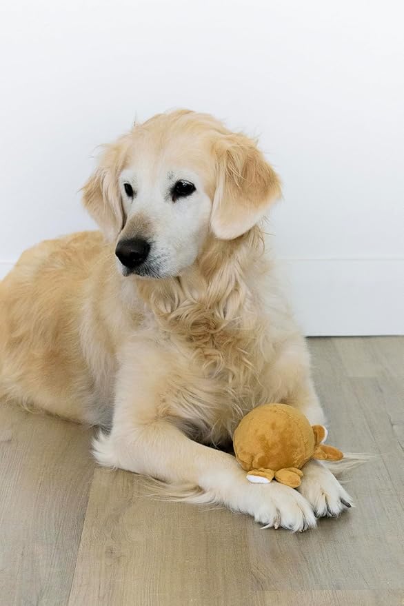 Flourish Pets 2 in 1 Small Prancer Christmas Multi-Layer Chew Toy for Active Dogs | Non-Toxic BPA Free Double Stitched Soft Fabric and Long-Lasting Dog Plush Toys (Reindeer Prancer 3.5")