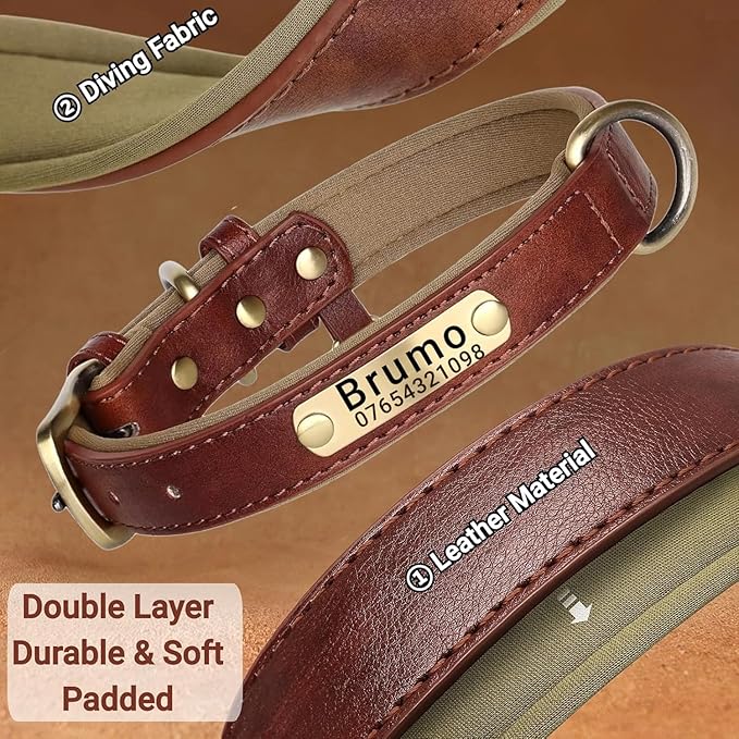 Leather Dog Collar Personalised and Leash Set, Personalized with Soft Padded Design Heavy Duty Featuring Custom Engraved Name Plate for Small Medium and Large Dogs