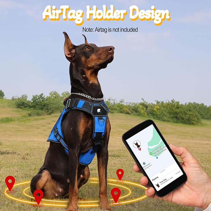 Service Dog Vest - HEYCAHVA Tactical Dog Harness Full Metal Buckles Dog Vest for Large Medium Dog Reflective No Pull Dog Harnesses with Leather Handle, Hook & Loop for Hiking Training (Blue, XL)