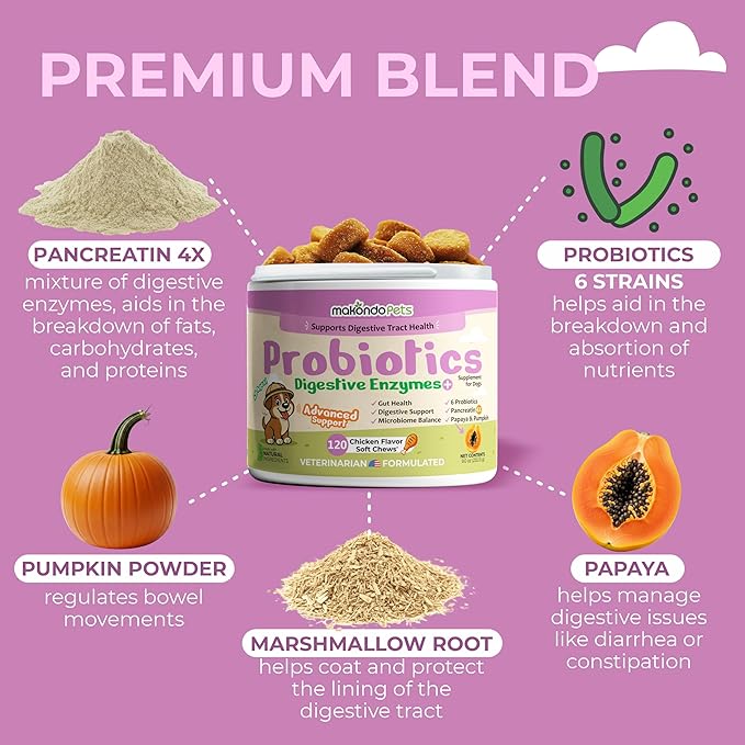 Probiotics for Dogs - 120 Dog Probiotics Chews - Digestive Enzymes & Pumpkin - Support Gut Health, Gas, Diarrhea & Constipation Relief - Itchy Skin, Yeast Balance, Allergies - Pet Advanced Supplements