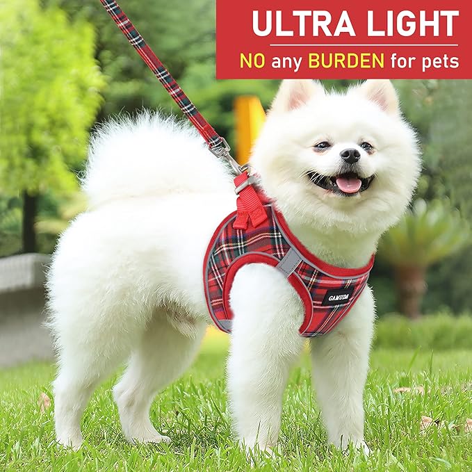 GAMUDA Small Dog Harness Collar and Leash Set, Step in No Chock No Pull Soft Mesh Adjustable Dog Vest Harnesses Plaid Reflective for Dogs Puppy Cats Kitten Rabbit (Red, S)