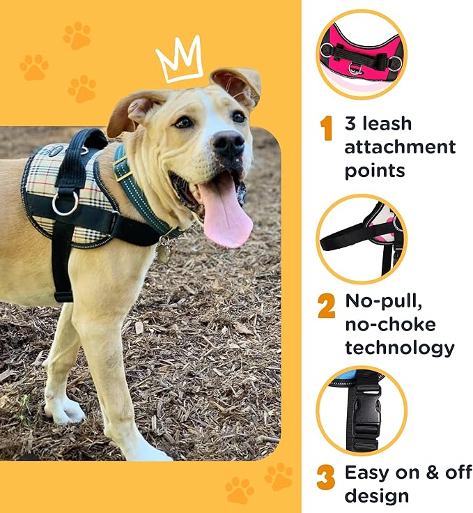 Bark Appeal Purple No-Pull Dog Harness for Extra Small Sized Pets – Adjustable, Reflective Vest with 3 Leash Clips for Added Control, Easy Walks & Training – XS