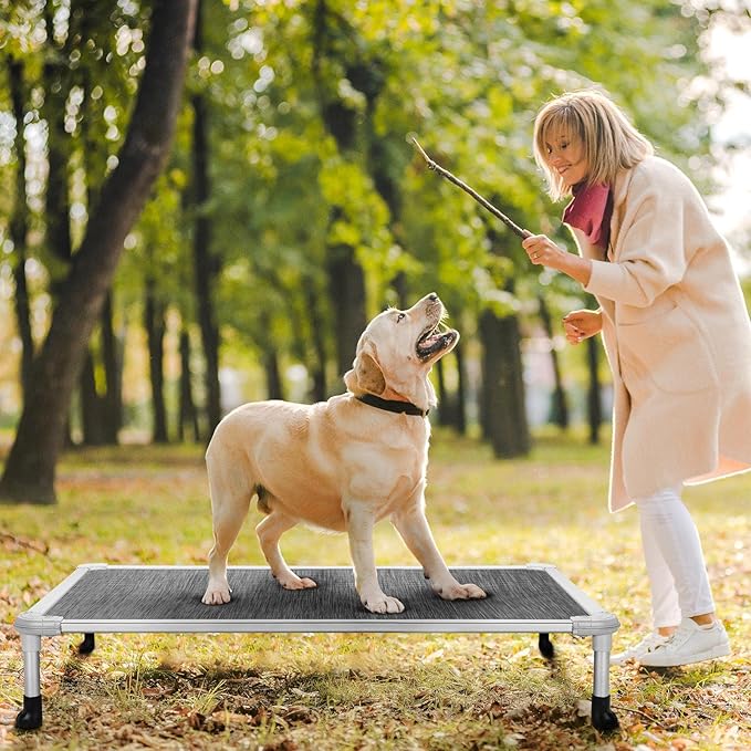 Veehoo Chew Proof Elevated Dog Bed - Cooling Raised Pet Cot - Silver Aluminum Frame and Durable Textilene Mesh Fabric, Unique Designed No-Slip Feet for Indoor or Outdoor Use, Black Silver, Large