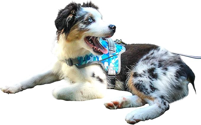 Walkin’ Warrior No Pull Dog Harness, Adjustable Straps for Custom Fit, Compatible with Dog Wheelchair, Breathable Mesh Lining for Comfort