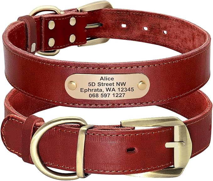 Didog Genuine Leather Dog Collars with Engraved Nameplate, Personalized Soft Leather Dog Collar with Custom ID Tag, Brown/Green/Red for Medium Large Dogs (XXL,Red)