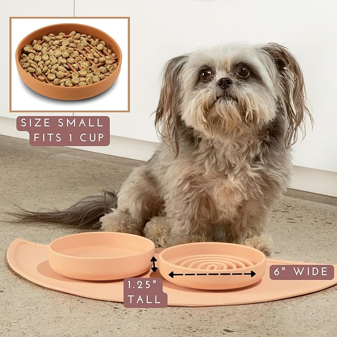 Should We Go? Slow Feeder for Dogs, The Slowdown Bowl Silicone Slow Eating Mealtime Solution with Modern Lick Mat Design, Reduces Gulping, Fits 1 Cup, 6” Across x 1.25” Tall, Small-Tan