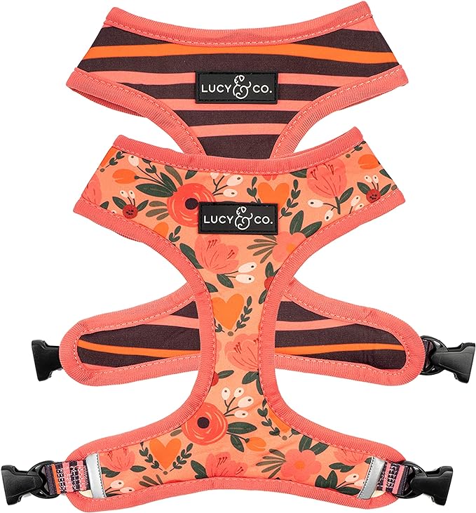 Lucy & Co. Reversible Dog Harness Walking Halter - Best Designer Pet Harnesses for Extra Small Medium Large XL Dogs Plus Pug Breeds - Padded Adjustable Puppy Vest for Easy Walking