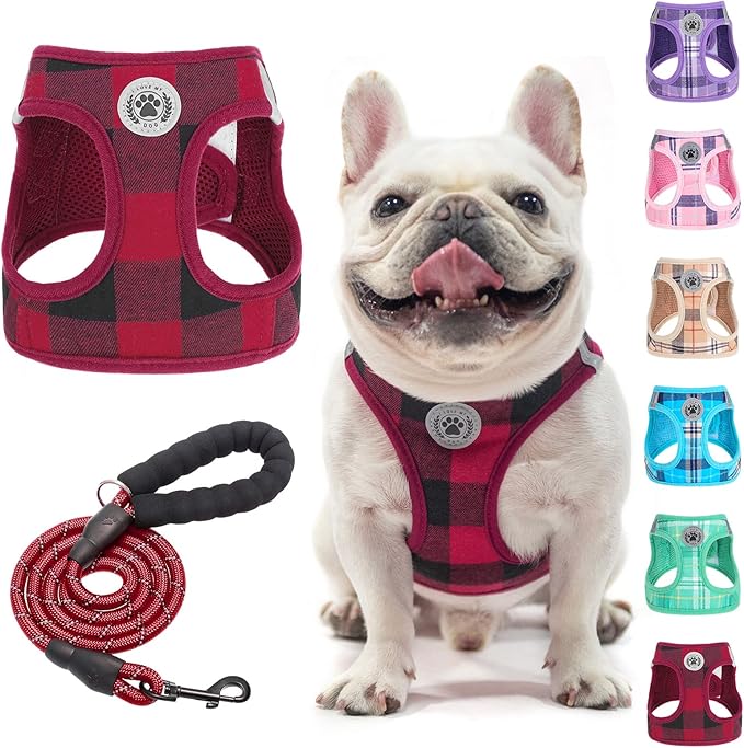 BEAUTYZOO Small Dog Harness and Leash Set,Step in No Choke No Pull Soft Mesh Dog Harnesses Reflective for Extra-Small/Small Medium Puppy Dogs and Cats, Plaid Dog Vest Harness for XS S Pets, Red M