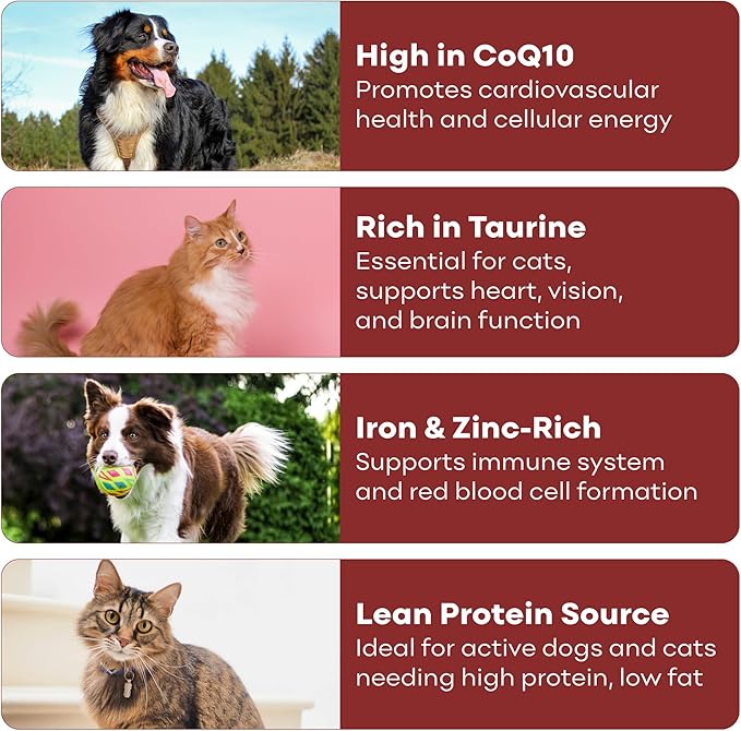 Skona PetFood Beef Heart Jerky Dog Treats & Cat Jerky Treats, High Protein, Single-Ingredient Training Snacks, Grain-Free, USA Made, Rich in Taurine, Supports Digestion & Dental Health, 4oz