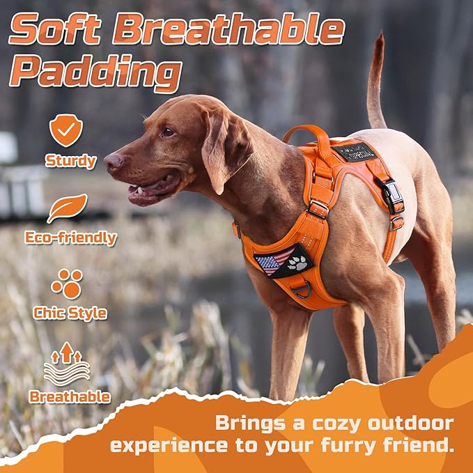 rabbitgoo Tactical Dog Harness for Large Dogs, No Pull Military Service Vest with Handle & Molle, Easy Control for Training Walking, Adjustable Reflective Straps, Orange, L