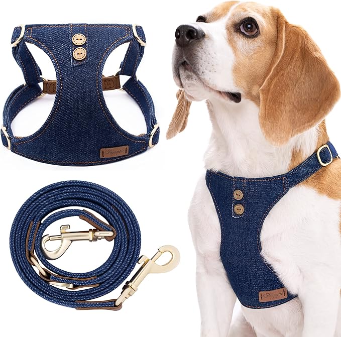 Dog Harness, No Pull Dogs Harness and Multi-Function Leash Set for Medium Dogs Easy Walk Everyday Adjustable Soft Dog Vest Harness Fashionable Dog Accessories Blue-Button-Relaxed Medium
