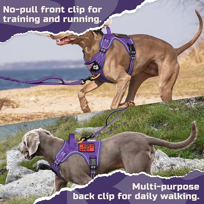 rabbitgoo Tactical Dog Harness for Large Dogs, No Pull Military Service Vest with Handle & Molle, Easy Control for Training Walking, Adjustable Reflective Straps, Purple, XL