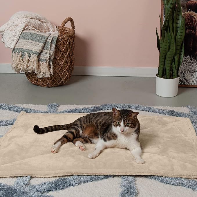 Furhaven ThermaNAP Self-Warming Cat Bed for Indoor Cats & Large/Medium Dogs, Washable & Reflects Body Heat - Quilted Faux Fur Reflective Bed Mat - Cream, Large (Pack of 2)