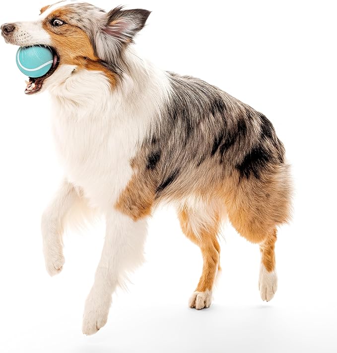 Playology Dog Toys | Squeaky Chew Ball - Bouncy Durable Floating Fetch Ball for Dogs | Jumbo Peanut Butter Scented Toy - Easy to Clean and Made from Non Toxic Materials