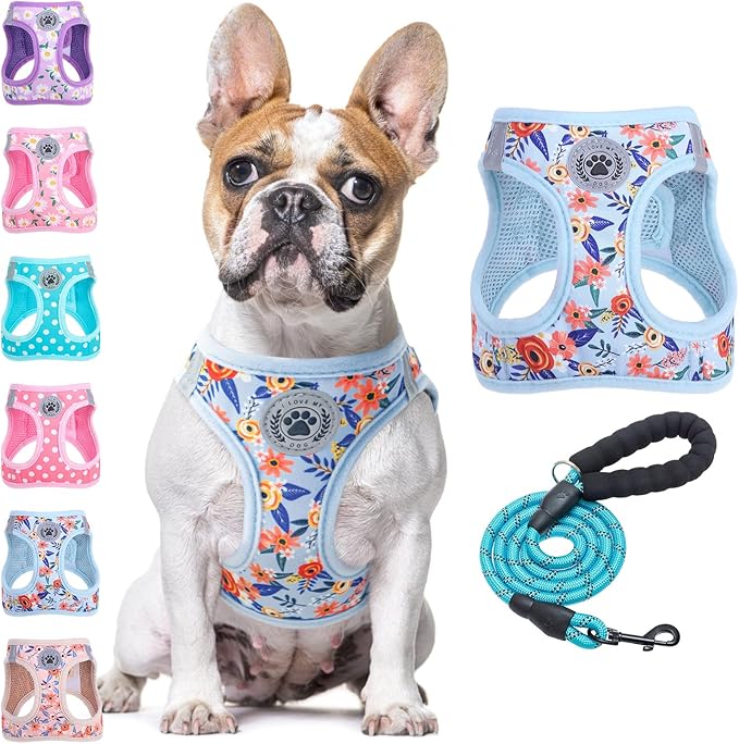 BEAUTYZOO Step in Dog Harness and Leash Set, Floral Pattern Reflective No Pull No Choke Puppy Harness for Small Medium Large Dogs Cats, Soft Padded Mesh Vest Harnesses for Girl and Boy Pets