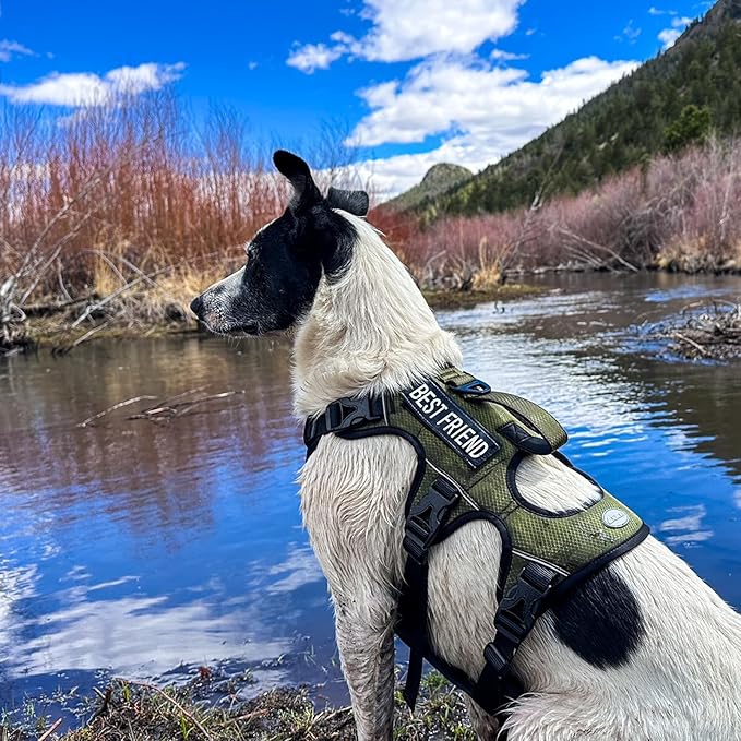 AUROTH Escape Proof Dog Harness - Soft Padded Reflective Adjustable Vest with Lift Handle - Medium Size