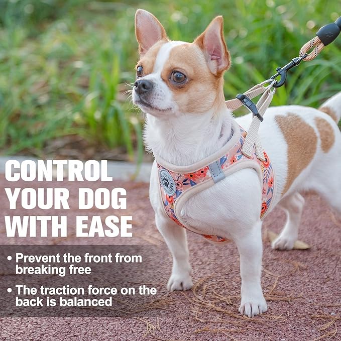 BEAUTYZOO Step in Dog Harness and Leash Set,Floral Pattern Reflective Dog Harness No Pull No Choke Puppy Harness for Small Medium Large Dogs Cats,Soft Padded Mesh Vest Harnesses for Girl and Boy Pets