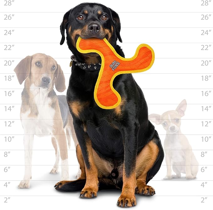 DURA FORCE - Durable Woven Fiber - Crab - Squeakers - Multiple Layers. Made Durable, Strong & Tough. Interactive Play Dog Toy (Tug, Toss & Fetch). Machine Washable & Floats (Combo Pack)