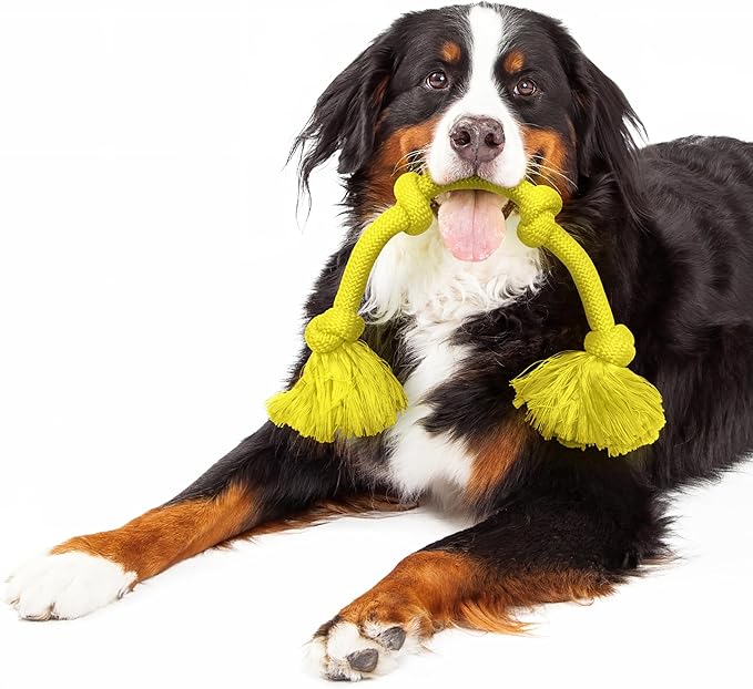 Playology Rope Toys for Dogs | Tug of War Dog Toy for Aggressive Chewers | Chicken Scented Dog Toys | Mega Rope Toy for Interactive Play