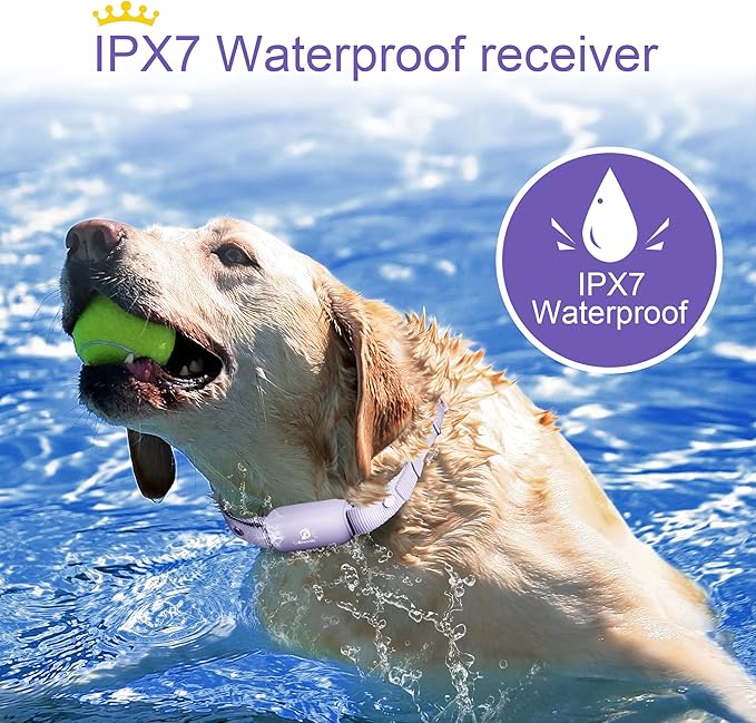 Bousnic Shock Collar for Dogs - Waterproof Rechargeable Dog Electric Training Collar with Remote for Small Medium Large Dogs with Beep, Vibration, Safe Shock Modes (8-120 Lbs) (Purple)