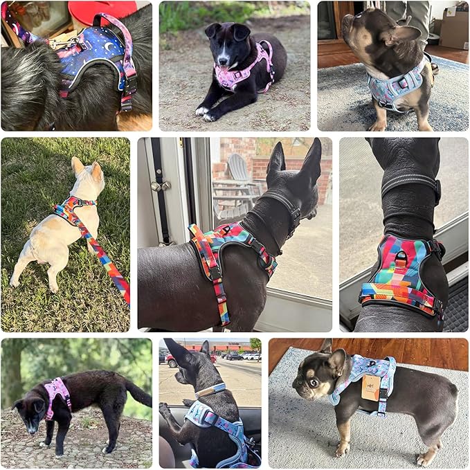 BEAUTYZOO No Pull Dog Harness and Leash Set with 2 Metal Leash Clips - Overhead-Free 3 Snap Buckles Design, Adjustable No-Choke Soft Padded Reflective Oxford Pet Vest for Small Medium Large Dogs, XL