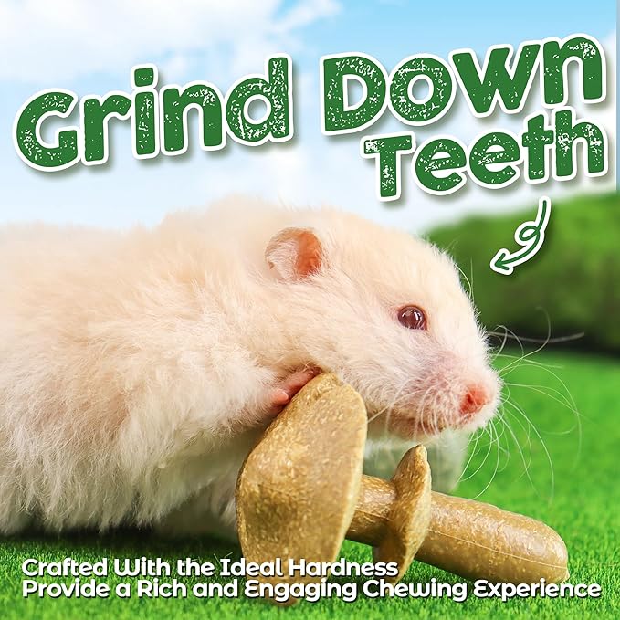 TEEWY Guinea Pig Chew Toys, Prevent Teeth Overgrowth, Natural Timothy Grass & Vegetables, Hamster Chew Toys, Guinea Pig Toys, Chinchilla Toys, 4PCS, Grass Patch & Mushrooms