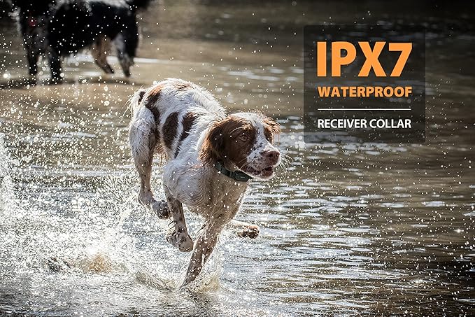 PATPET Dog Training Collar with Remote(3/4 Mile) - E Collar for Dogs Training, Rechargeable Electric Collar for Medium Large Dogs IPX7 Waterproof (15-140 lbs)