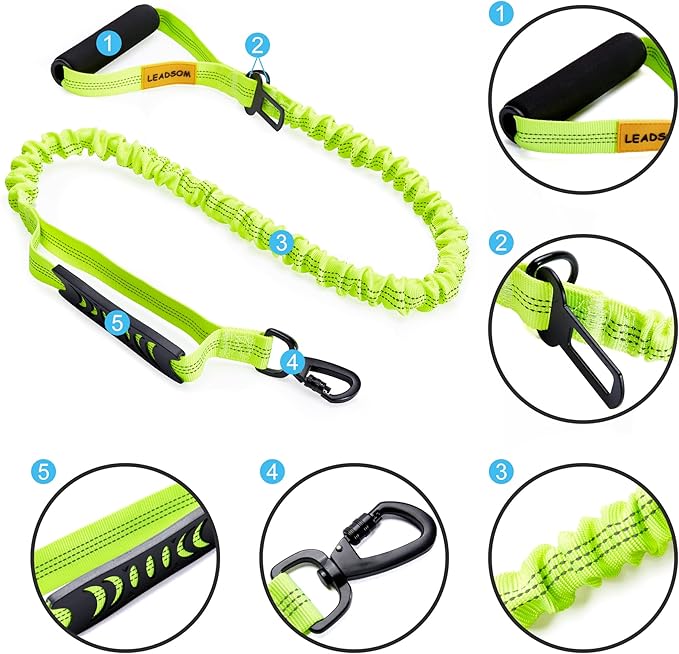 6FT Highly Reflective Heavy Duty Elastic Bungee Medium and Large Dog Leash Shock Absorbing with Comfortable Padded Handle and Traffic Handle Suitable for Training