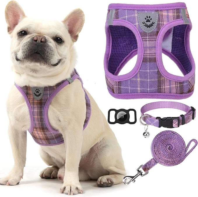EXPAWLORER Classic Plaid Puppy Harness - Small Dog Harness and Leash Set - Dog Collar and Leash Set with AirTag Holder, Soft Padded Step in Dog Vest Harness No Pull Reflective for Outdoor, Purple M