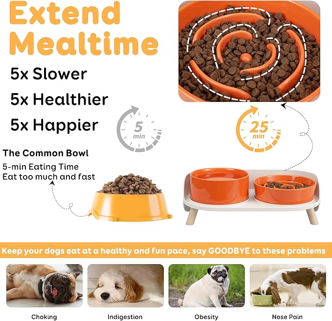 Elevated Slow Feeder Dog Bowls - Ceramic Food and Water Bowl Set with Stand - Raised Pet Dishes for Small and Medium Sized Dogs