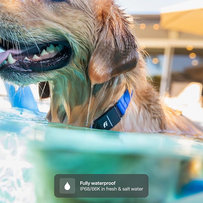 New Fi Series 3+ Smart Dog Tracker Collar [6 Month Membership Included] GPS Tracker for Dogs with Health & Behavior Monitoring, Escape Alerts, Waterproof, LED, Apple Watch Compatible (Blue, X-Small)