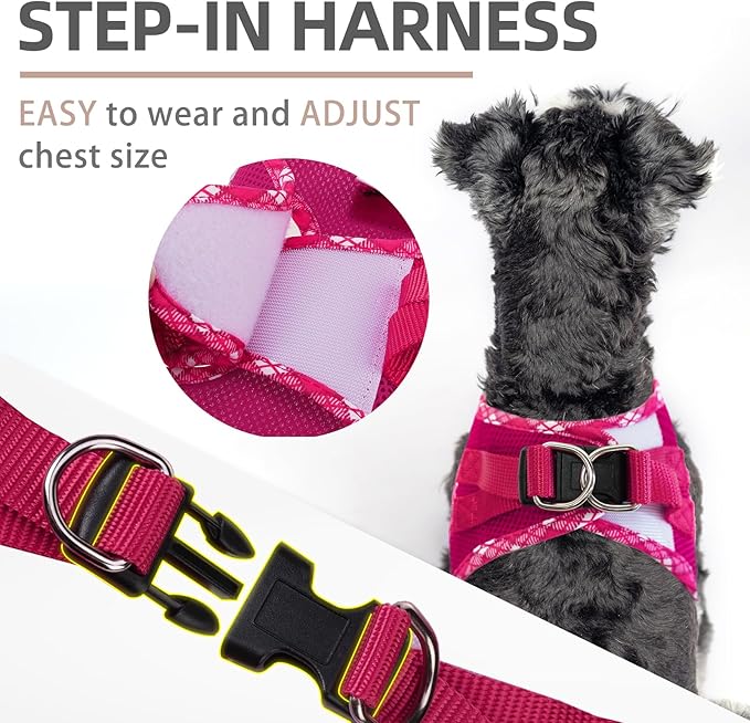 PUPTECK Dog Harness and Leash Set for Small Medium Dogs No Pull Step-in Soft Mesh Puppy Cat Vest Harnesses Reflective at Night, Fuchsia, S
