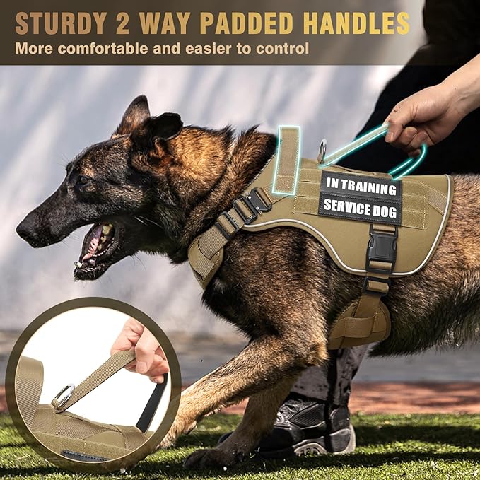 WINSEE Tactical Dog Harness for Large Dog, Heavy Duty Service Dog MOLLE Vest with 10 Pet Patches, No Pull Military Working Vest for Training Hunting Walking