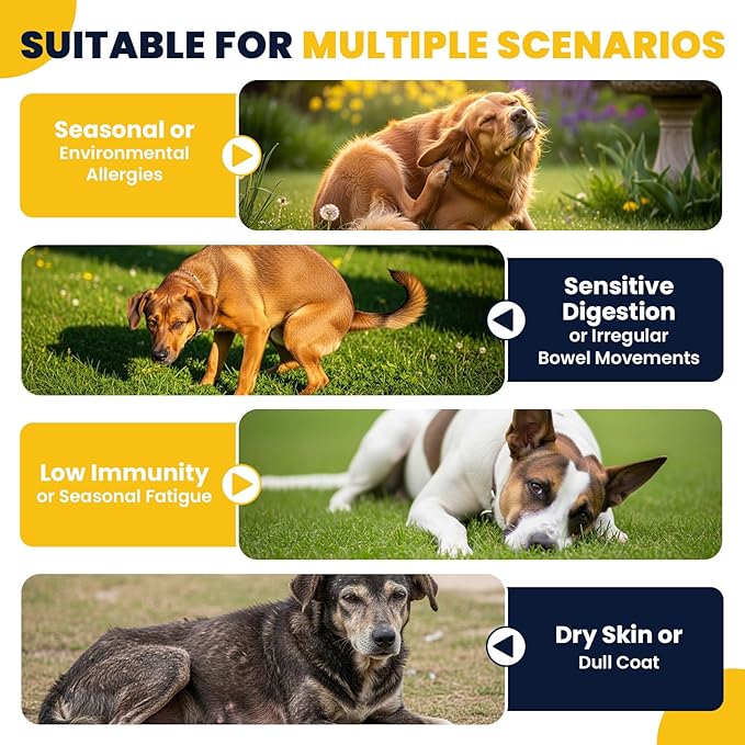 Dog Allergy Chews Probiotics for Dogs Yeast, Itchy Skin and Itchy Ears Itch Relief Immune Pre Probiotic Chews for Pet Digestive Gut Health Anti Itch Supplement for Itching and Licking Dogs Allergies