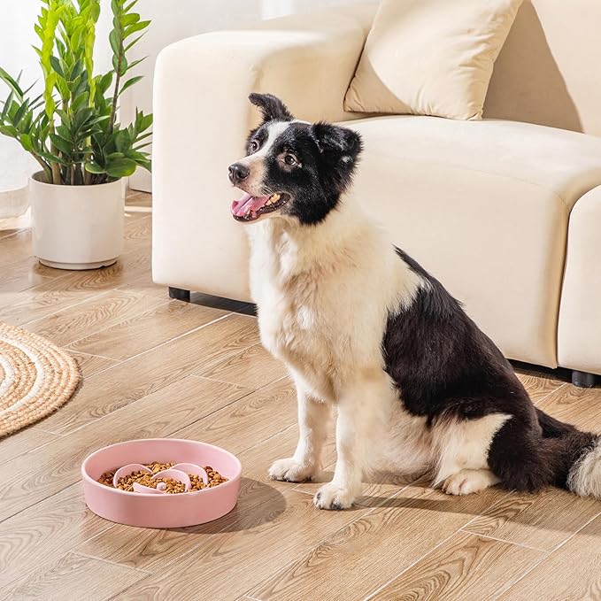 vancasso Slow Feeder Dog Bowl, 3 Cups Ceramic Slow Feeder for Large Breed, Puzzle Maze Dog Food Bowl for Fast Eater, Pink